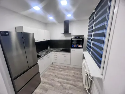 Pronájem bytu 2+1, Most, Višňová, 49 m2