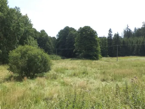 Prodej pozemku, Chodský Újezd - Nahý Újezdec, 13137 m2