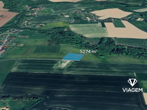 Prodej pole, Závišice, 5274 m2