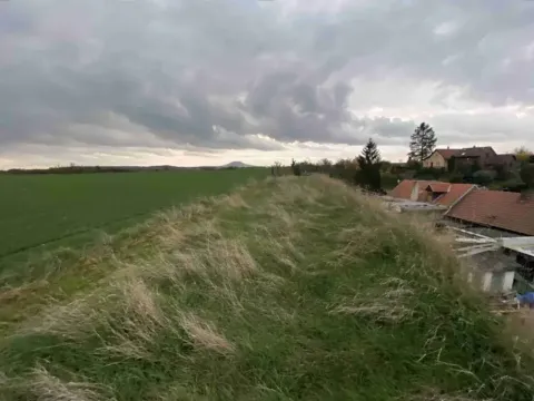 Dražba pole, Židovice, 123 m2