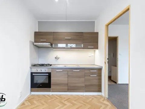 Prodej bytu 1+1, Frýdek-Místek, Ostravská, 30 m2