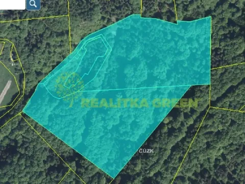 Prodej lesa, Nýdek, 90306 m2