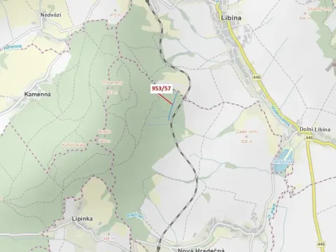 Dražba lesa, Nová Hradečná, 6750 m2