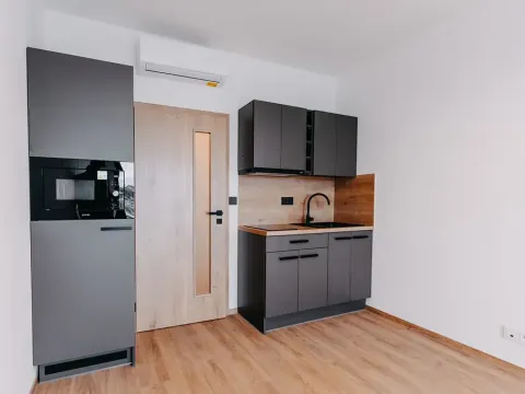 Pronájem bytu 1+kk, Brno, Čechyňská, 28 m2