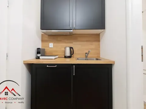 Pronájem bytu 1+kk, Ostrava, Cihelní, 17 m2