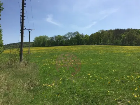 Prodej pozemku pro bydlení, Volyně, 6867 m2