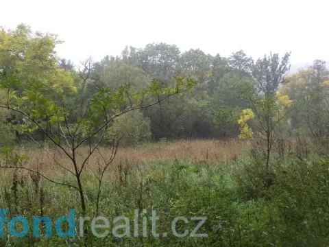 Prodej zahrady, Biskupice-Pulkov, 986 m2