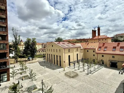 Pronájem garáže, Praha, Bělehradská, 15 m2
