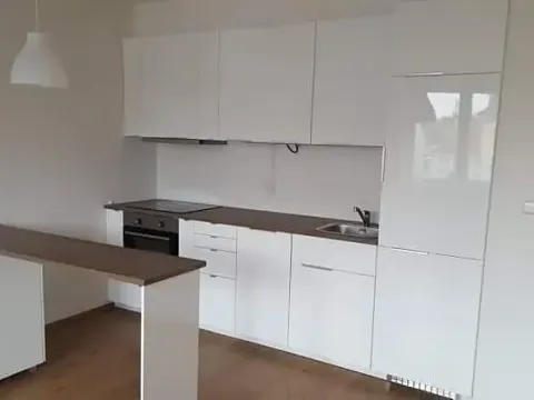 Pronájem bytu 2+kk, Plzeň, Presslova, 47 m2