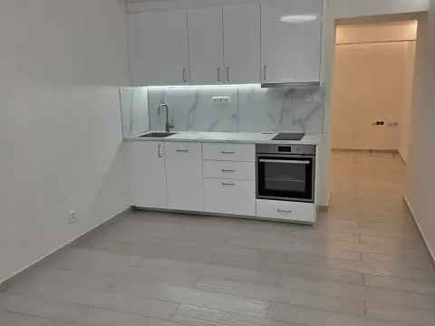 Pronájem bytu 1+kk, Praha - Vinohrady, Nad olšinami, 27 m2