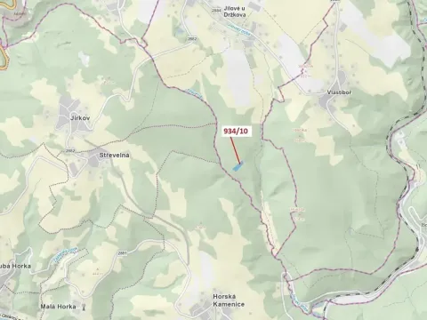 Dražba lesa, Jílové u Držkova, 4305 m2