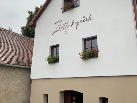 Prodej vinného sklepa, Čejkovice, 66 m2