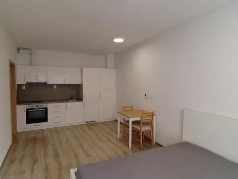 Pronájem bytu 1+kk, Moravany, Višňová, 33 m2