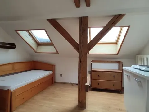 Pronájem bytu 1+kk, Praha - Krč, Moysesova, 40 m2