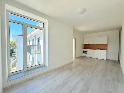 Pronájem bytu 3+kk, Milovice, Slepá, 50 m2