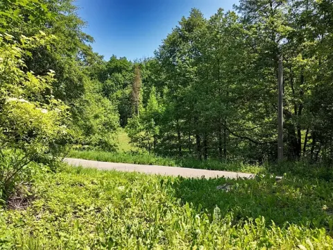 Prodej pozemku pro bydlení, Rokytnice v Orlických horách, 271 m2