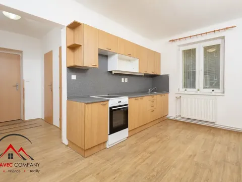 Pronájem bytu 1+1, Ostrava, Palackého, 41 m2