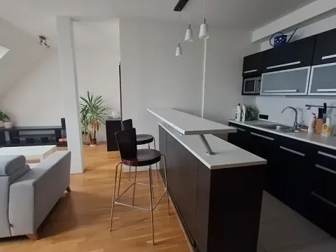 Pronájem bytu 2+kk, Brno, Kounicova, 52 m2