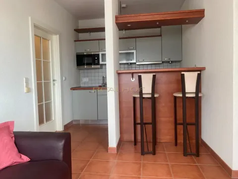 Pronájem bytu 1+kk, Brno - Brno-město, Česká, 26 m2