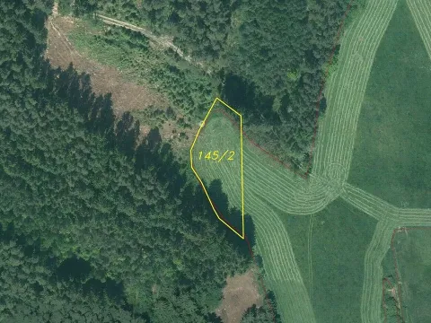 Prodej pole, Bělá nad Radbuzou - Čečín, 1954 m2