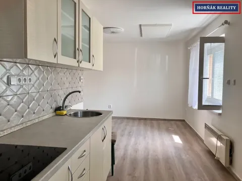 Pronájem bytu 1+kk, Bučovice, Revoluční, 30 m2