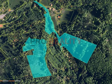 Prodej lesa, Třinec, 102143 m2