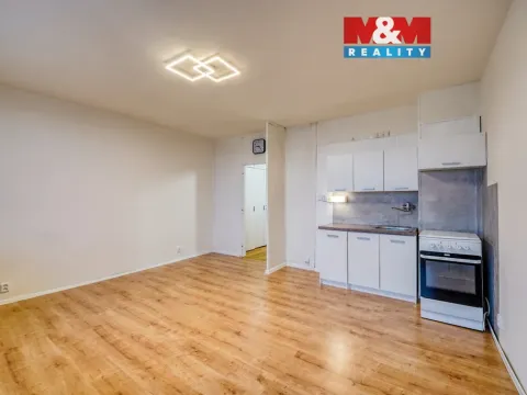 Pronájem bytu 1+kk, Plzeň - Bolevec, Tachovská, 27 m2