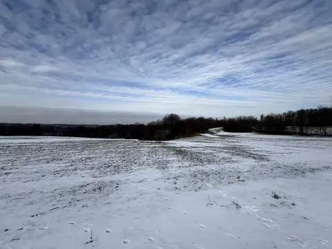 Prodej louky, Bruzovice, 94427 m2