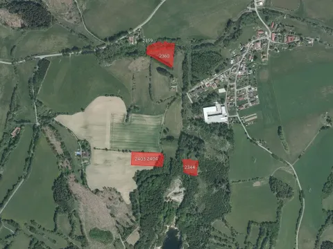 Prodej podílu louky, Boršov, 9566 m2