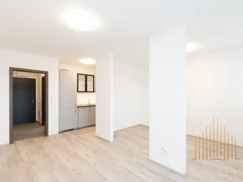 Pronájem bytu 1+kk, Kralupy nad Vltavou, Nádražní, 39 m2