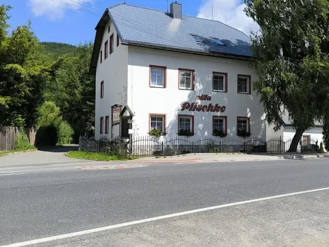 Prodej rodinného domu, Lipová-lázně, 555 m2