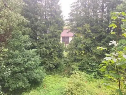 Prodej pozemku, Zlaté Hory, 218 m2