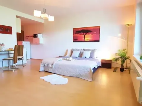 Pronájem bytu 1+kk, Brno, Šemberova, 48 m2