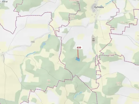 Dražba lesa, Kuřimany, 8912 m2