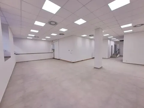 Pronájem obchodního prostoru, Praha - Žižkov, Cimburkova, 357 m2