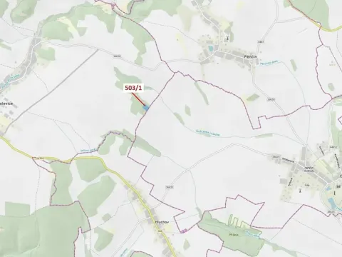 Dražba lesa, Přemyslovice, 7049 m2