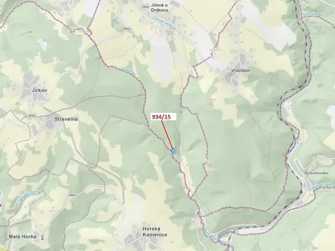 Dražba lesa, Jílové u Držkova, 3821 m2