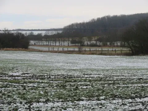 Dražba louky, Chotěšice, 11382 m2