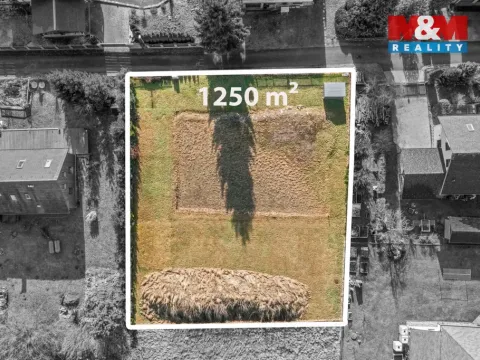 Prodej pozemku pro bydlení, Borová, 1250 m2