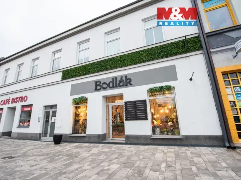 Pronájem skladu, Pardubice - Zelené Předměstí, 17. listopadu, 35 m2