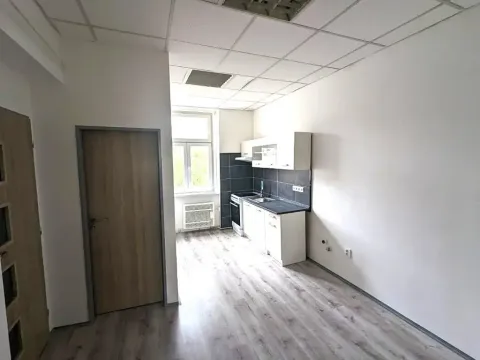 Pronájem bytu 2+kk, Ústí nad Labem, Moskevská, 46 m2