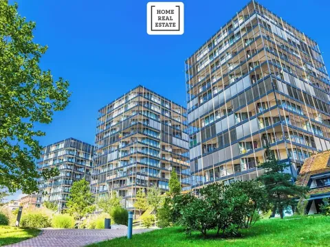 Pronájem bytu 1+kk, Praha - Žižkov, Pitterova, 47 m2