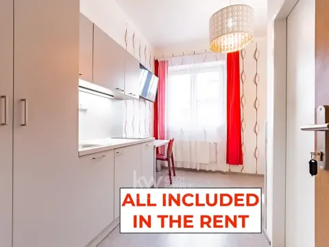 Pronájem bytu 1+kk, Praha - Nusle, Na Jezerce, 18 m2
