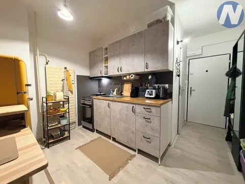 Pronájem bytu 1+1, Strakonice, Mlýnská, 37 m2