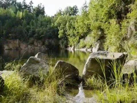 Prodej rybníku, Lipová, 80000 m2