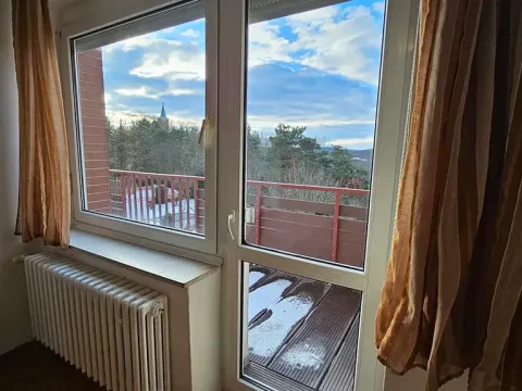 Pronájem pokoje, Praha - Dejvice, Starého, 16 m2