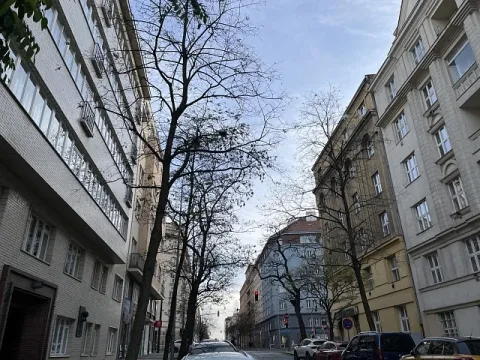 Prodej bytu 2+1, Praha, Vinohradská, 73 m2