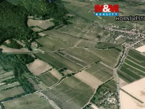 Prodej pole, Horní Věstonice, 4000 m2