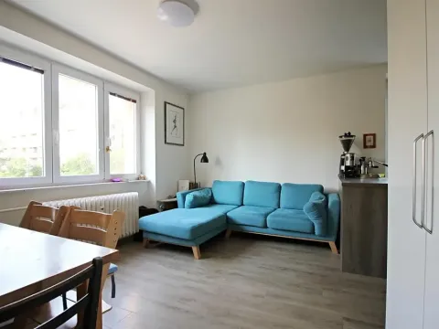 Pronájem bytu 4+kk, Brno, Neumannova, 93 m2