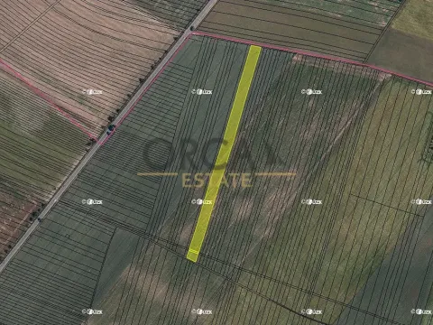 Prodej podílu pole, Holasice, 3024 m2